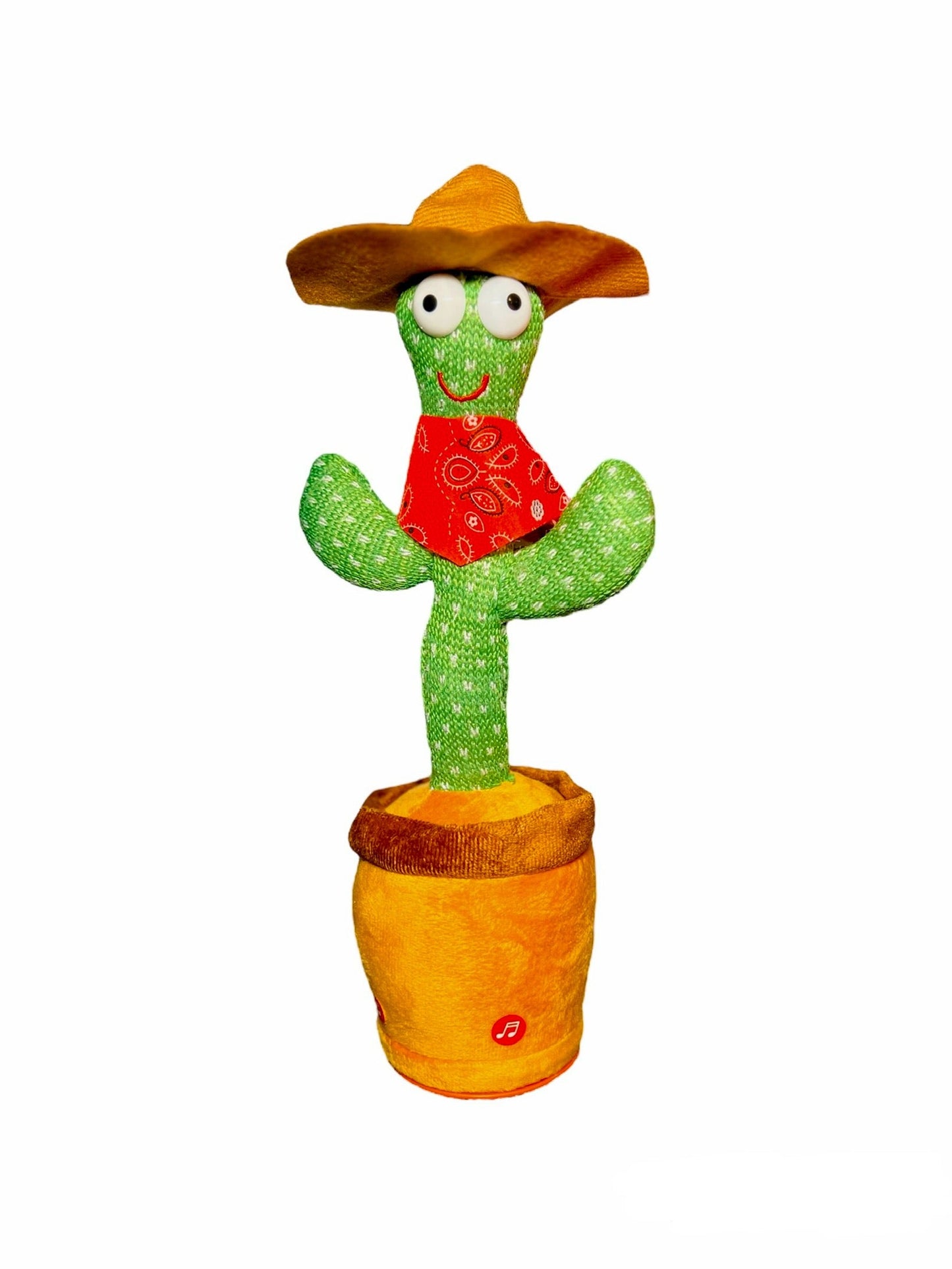 Dancing Cowboy Cactus